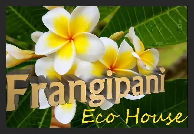 Frangipani House Luxury Huge Center With Lift * Cagliari